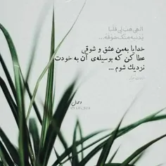 الهی هب لی قلبا