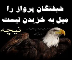 لایک کنید لطفا تازه اومدم