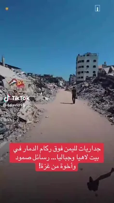 دیوار نویسی فلسطینی ها برای یمنی ها