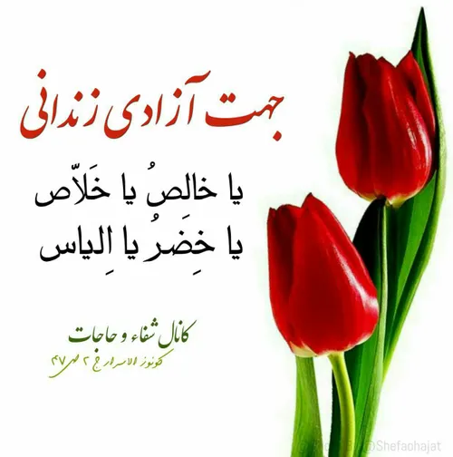 گوناگون roholajibare 28041688 - عکس ویسگون