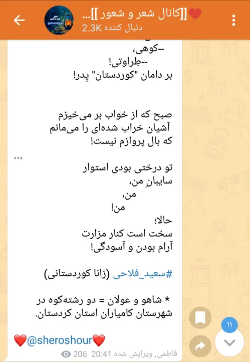 سعید فلاحی