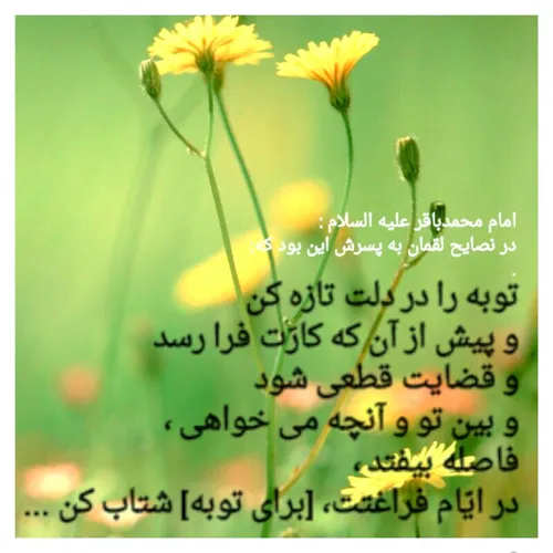 توبه