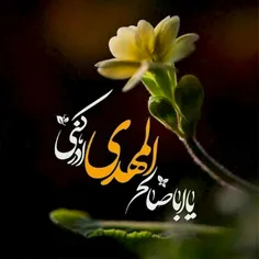 یا اباصالح المهدی ادرکنی🌼🌿