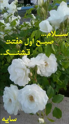 هرصبح که از شب تو بر می‌خیزم 