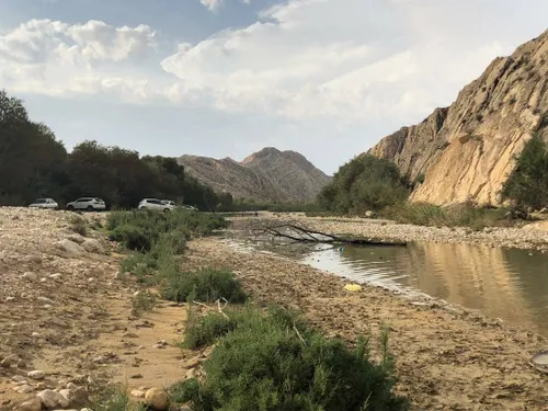 جنگل زیبای شهرمون😋