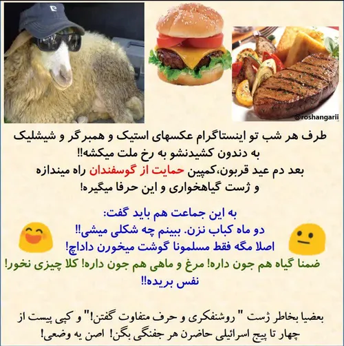 🐑 طرف هر شب تو اینستاگرام عکسهای استیک و همبرگر و شیشلیک