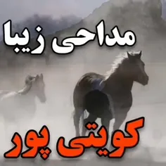 نوبت محرم شد