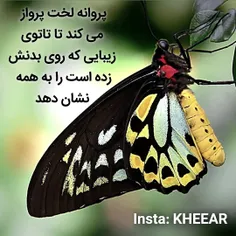 kheear 68518810