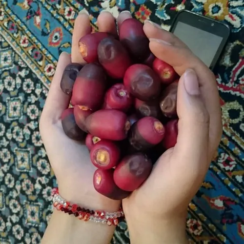 بفرمایین خرما ♥ ♥