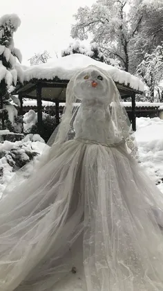 ادم برفی  عروس شده