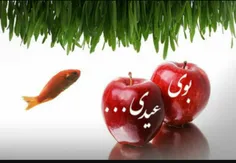 بوی عیدی بوی توپ بوی کاغذ رنــــگی