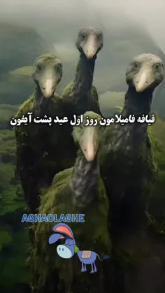 دقیقا همینه 😂