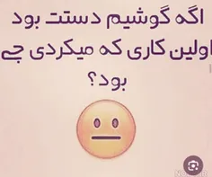 بگین