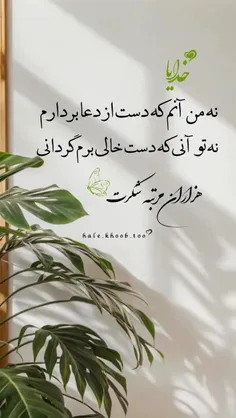 moijoon1361 77480301