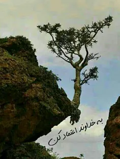 اعتماد کنیددددددد