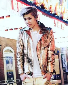 #zelo