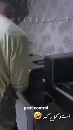 mojtaba_1995 76979423