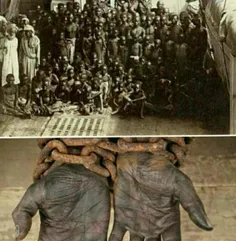 زمان قاجار برده‌ های سیاه معمولا توسط حجاج از مکه خریداری