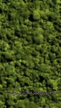 مشاهده عظمت و شگفتی جنگل های  آمازون از فضا که تنها بیانگ