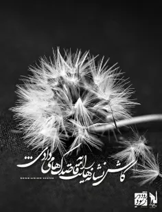 رد پاها به کدام سو می ‏روند؛