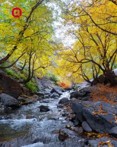 زندگی در اندیشه ما جاریست