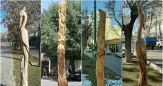 کار زیبای شهرداری با درخت‌های خشک شده !😍👏🏻