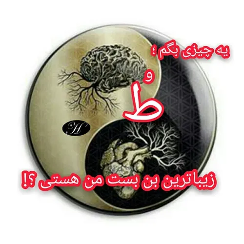 عاشقانه ها ی تلخ