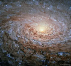 کهکشان گل آفتابگردان: تصویر نجومی روز ناسا (۱۹ آبان ۹۵)