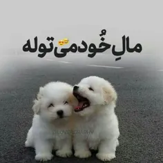 توله