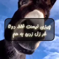 چیزی نیست بابا 😂😂