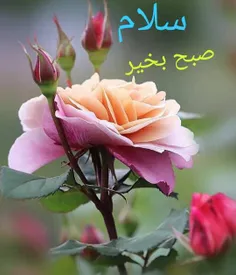 عاشقانه ها hosseinnaseri1300 26705619