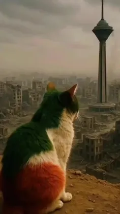 ✌️🇮🇷🇮🇷✌️