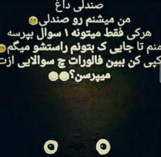 فقط کامنت