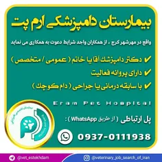 استخدام دامپزشک در یک بیمارستان دامپزشکی در مهرشهر کرج