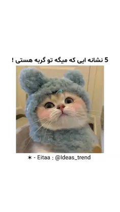 5 نشانه ای که میگه تو گربه هستی>>>♡