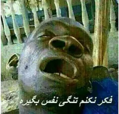 فکر نکنم تنگی نفس پیدا کنه 😂 😂 😂 😂 