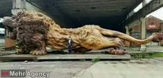 بزرگترین#مجسمه ساخته شده از  تنه یک#درخت در دنیا «شیر غول