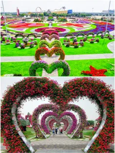 #باغ_گل معجزه، بزرگترین باغ گل دنیا در#دبی