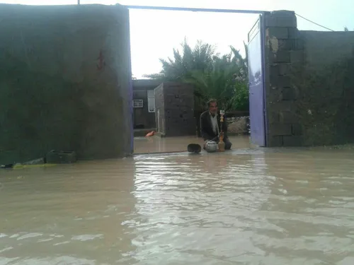 بارندگی استان بوشهر