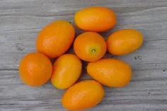 ﮐﺎﻣﮑﻮﺍﺕ ‏(Kumquat )
