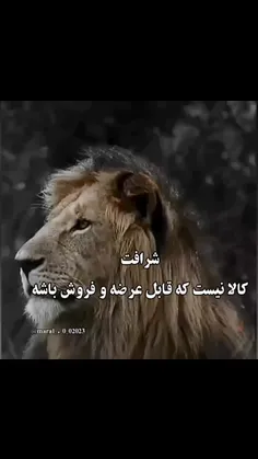 یه سریها از ریشه بی شرفن..