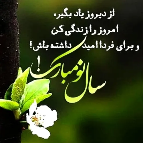  farzad_f 63259541 - عکس ویسگون