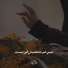 غیرت معنیش این نیست...