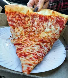 یه دختر عاقل هیچوقت عاشق پیتزا نمیشه عاشق یه مردی تو زندگ