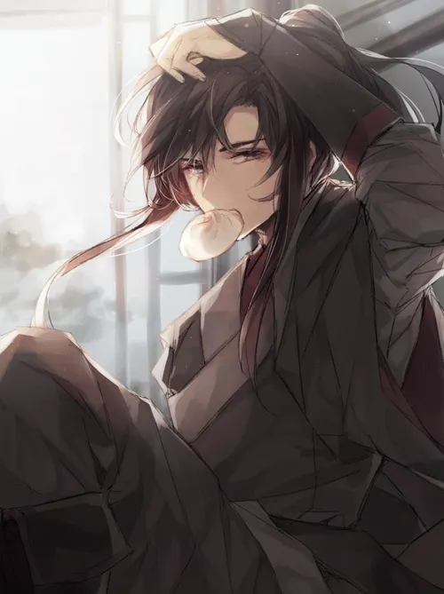 anime mo dao zu shi wei wuxian xiao zhan xiaozhan wang yi