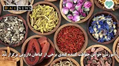 آموزشی خواص حفاظت کننده کبدی برخی از گیاهان دارویی برگزار