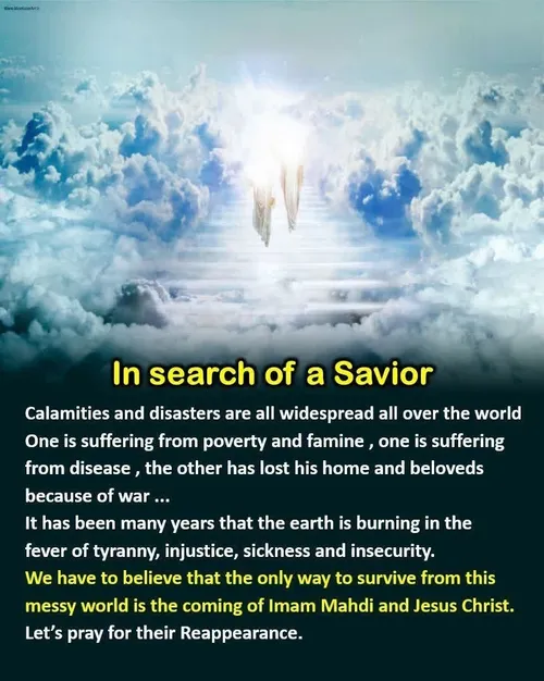 in search of a saviour