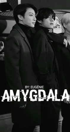 AMYGDALA    1