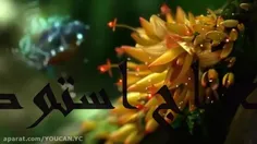 سوره النباء
قاری عبدالرحمن المسعد