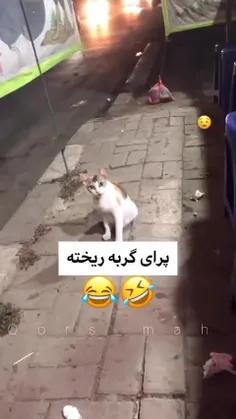 چرا دوساعته دارم به این میخندم🌚😂